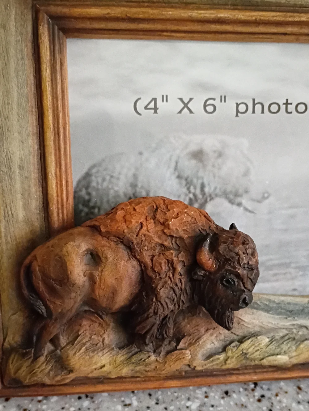 Mill Creek Studios 3D Buffalo Photo Frame 4x6 New In Box